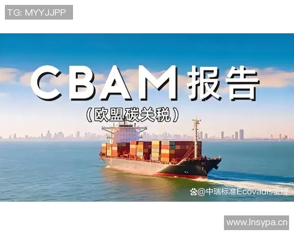 欧盟CBAM碳边境税将对进口商品征税，面临国际反对